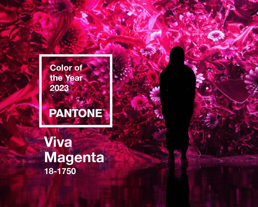 Pantone rose 2023